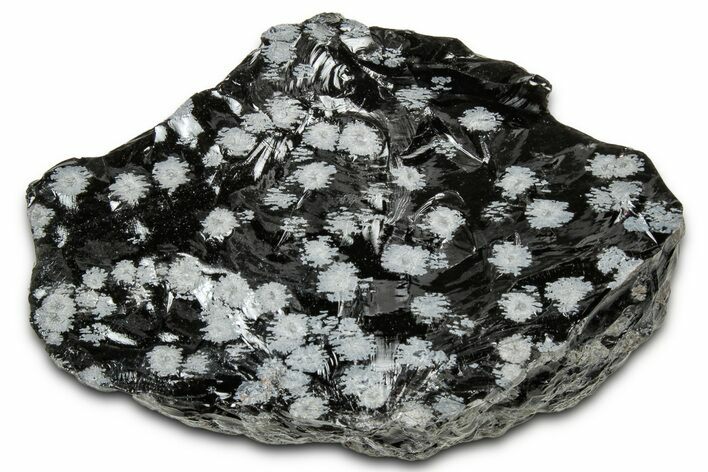 Snowflake Obsidian Section - Utah #327127